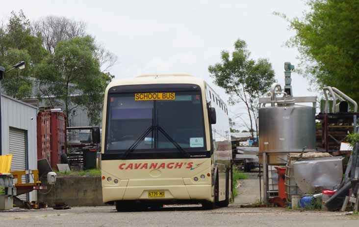 Cavanaghs BCI Classmaster 6739MO